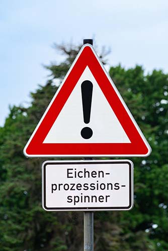 Verkehrszeichen für Gefahrenstelle mit Zusatzschild Eichenprozessionsspinner